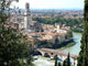Verona Wall Decal