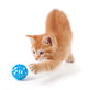 Cute Orange Kitten Playing on a White Background. Wall Decal