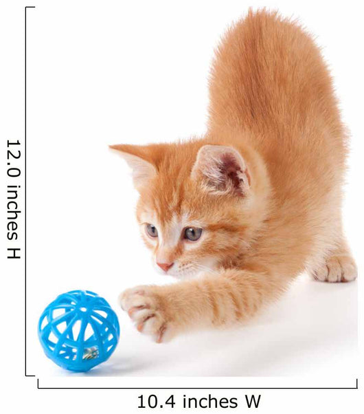 Cute Orange Kitten Playing on a White Background. Wall Decal