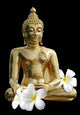 Buddha Statue Black