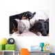British kitten rare color (lilac) and puppies dachshund Wall Mural