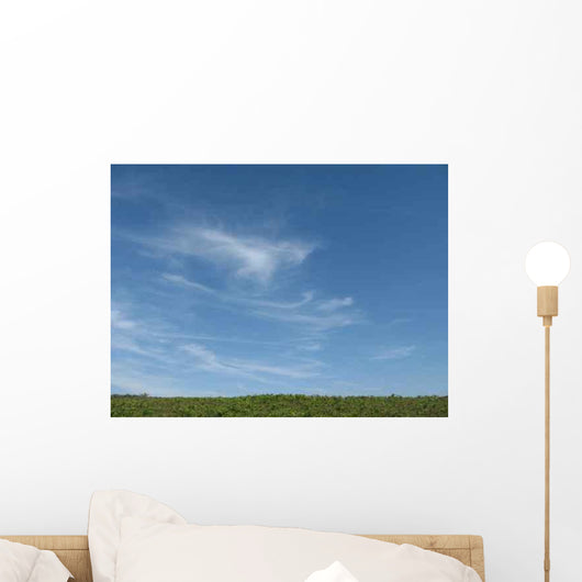 Terre Et Ciel Wall Decal