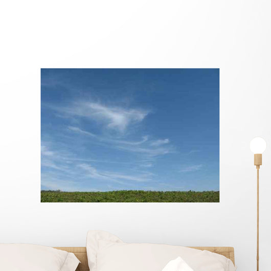 Terre Et Ciel Wall Decal