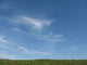 Terre Et Ciel Wall Decal