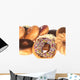 Selection of Doughnuts Wall Mural