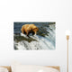 Grizzly bear Wall Mural