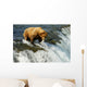 Grizzly bear Wall Mural