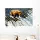 Grizzly bear Wall Mural