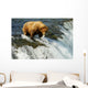 Grizzly bear Wall Mural