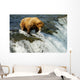 Grizzly bear Wall Mural