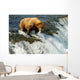 Grizzly bear Wall Mural