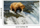 Grizzly bear Wall Mural