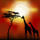 African Landscape With Giraffes Wall Mural