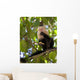 White-faced Capuchin Eating Banana Wall Mural