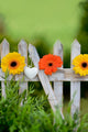 Flowers Garden Fence
