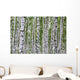 Summer Birch Wood Wall Decal