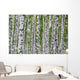 Summer Birch Wood Wall Decal