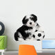 Cute Sitting Havanese Puppy Dog Wall Decal