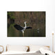 Airone Cenerino Wall Mural