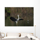 Airone Cenerino Wall Mural