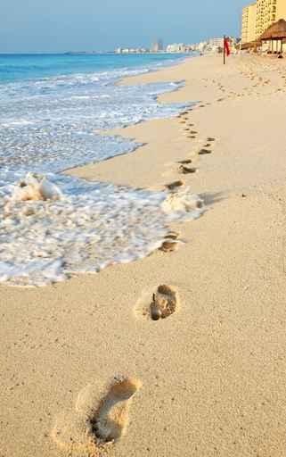 Footprints in the Sand Beach Caribbean Wall Decal