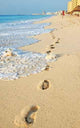 Footprints in the Sand Beach Caribbean Wall Decal