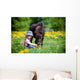 Child Feeding Small Horse