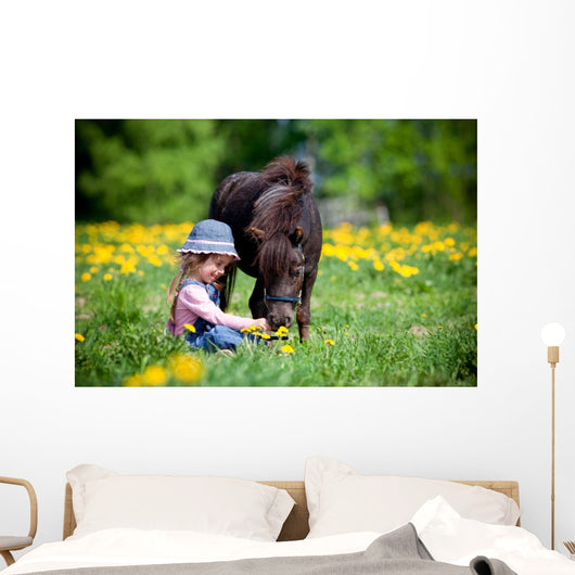 Child Feeding Small Horse