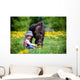 Child Feeding Small Horse