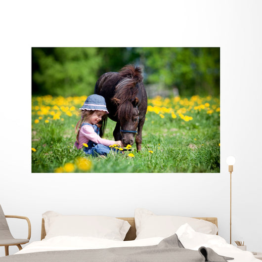 Child Feeding Small Horse