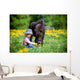 Child Feeding Small Horse
