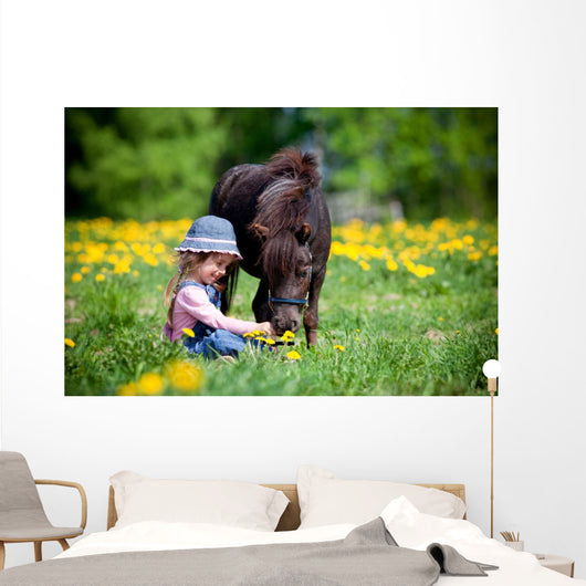 Child Feeding Small Horse