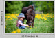 Child Feeding Small Horse