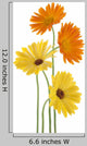 Calendula Wall Decal