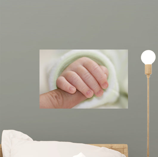 Newborn Wall Mural