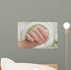 Newborn Wall Mural