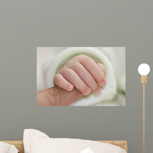 Newborn Wall Mural
