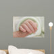 Newborn Wall Mural