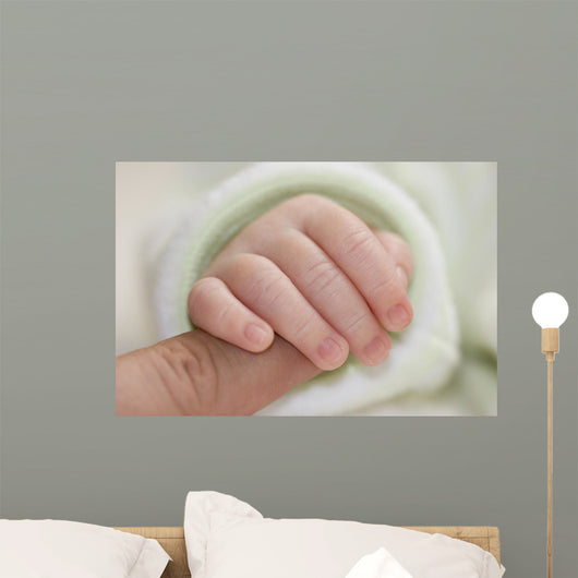 Newborn Wall Mural