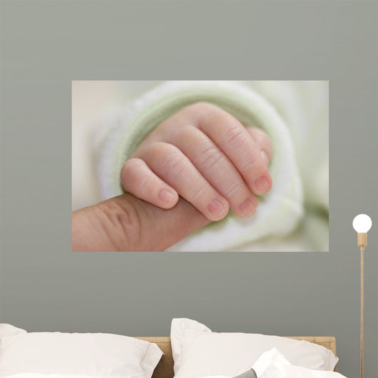 Newborn Wall Mural