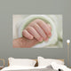 Newborn Wall Mural