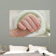 Newborn Wall Mural