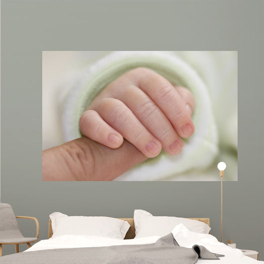 Newborn Wall Mural