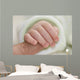 Newborn Wall Mural