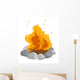 Campfire