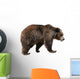 Brown Bear Ursus Arctos Wall Decal