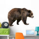 Brown Bear Ursus Arctos Wall Decal