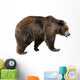 Brown Bear Ursus Arctos Wall Decal