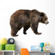 Brown Bear Ursus Arctos Wall Decal