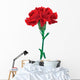 red carnations isolated Wall Decal